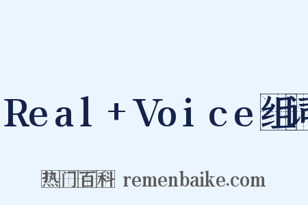 Real+Voice组词是什么意思的图片